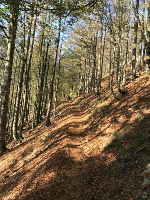 La Magie Entre Deux Lacs Gérardmer Exteriér fotografie